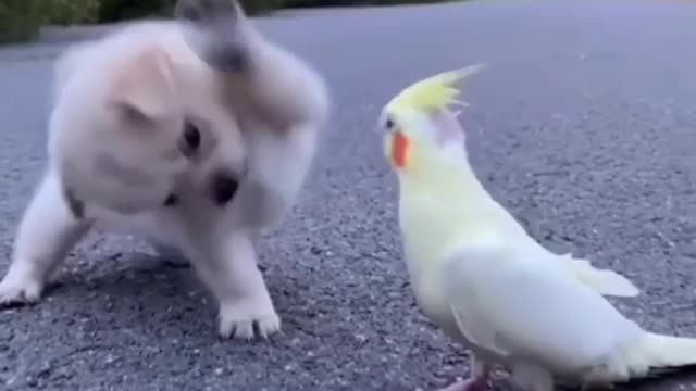 This are amazing 🥰