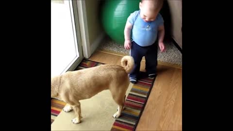 The warm daily life of dogs and babies