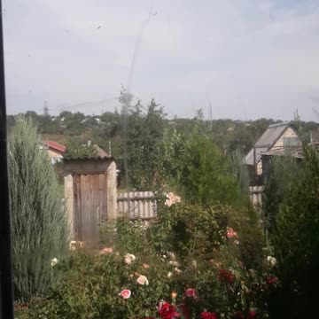 Today's view from the window