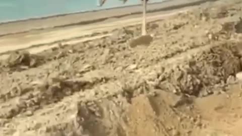 #how #to #earn #money #lol