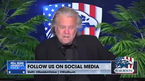 Steve Bannon: Based Analysis for December 6th