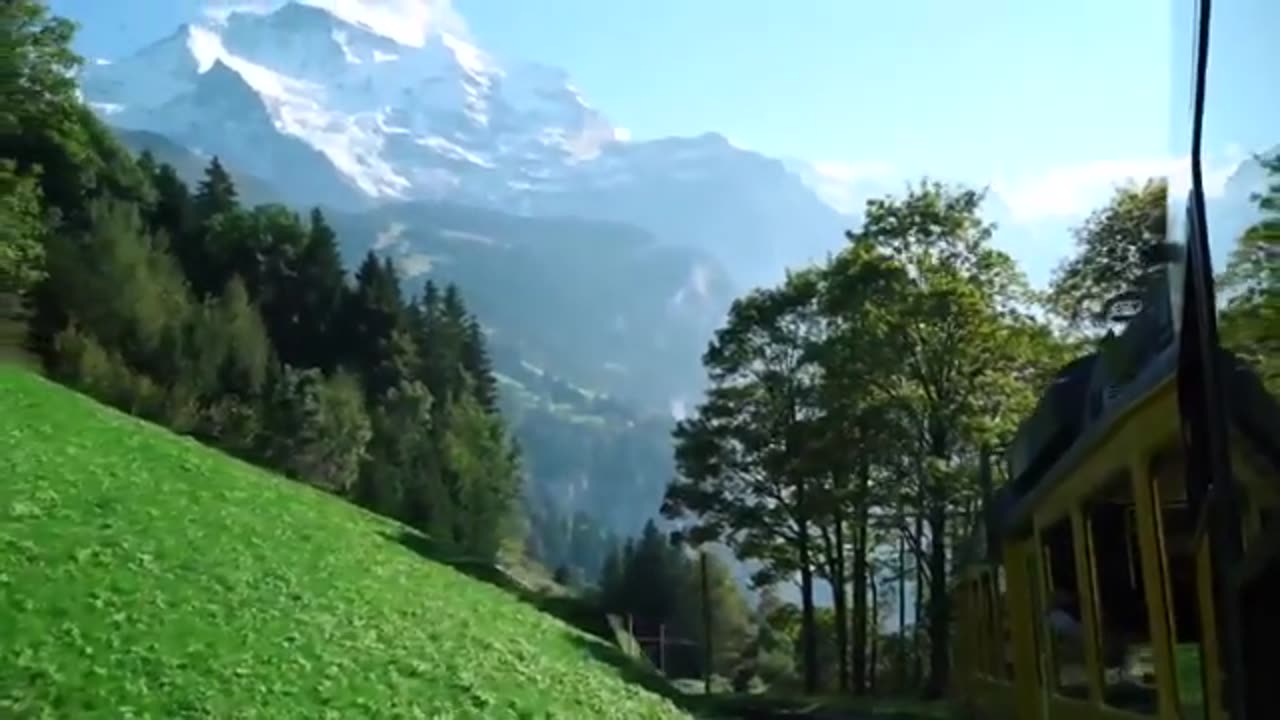 Colors Of Nature
