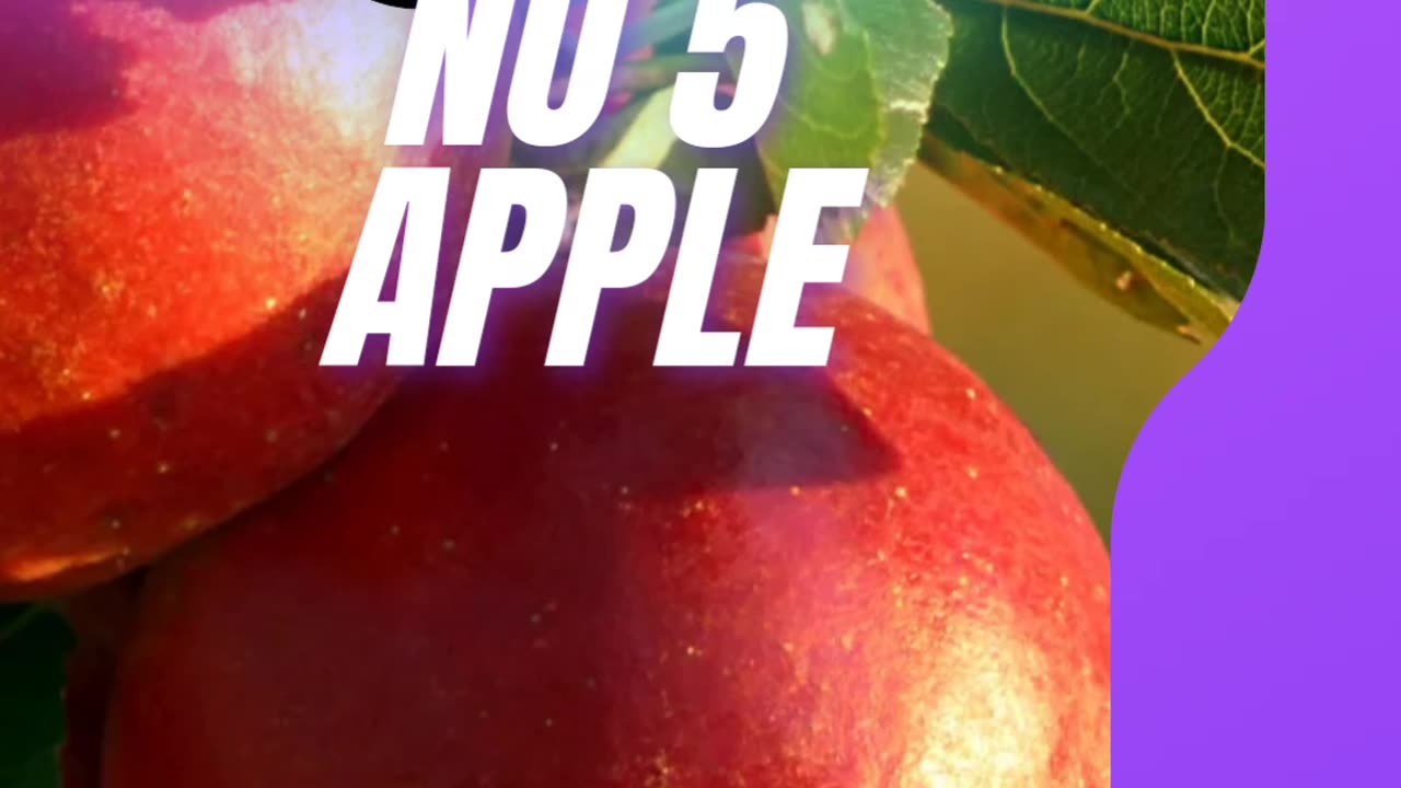 9 best fruit burn Belly fat
