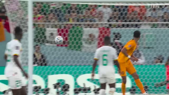 Late Dutch DRAMA in Group A clash Senegal v Netherlands highlights