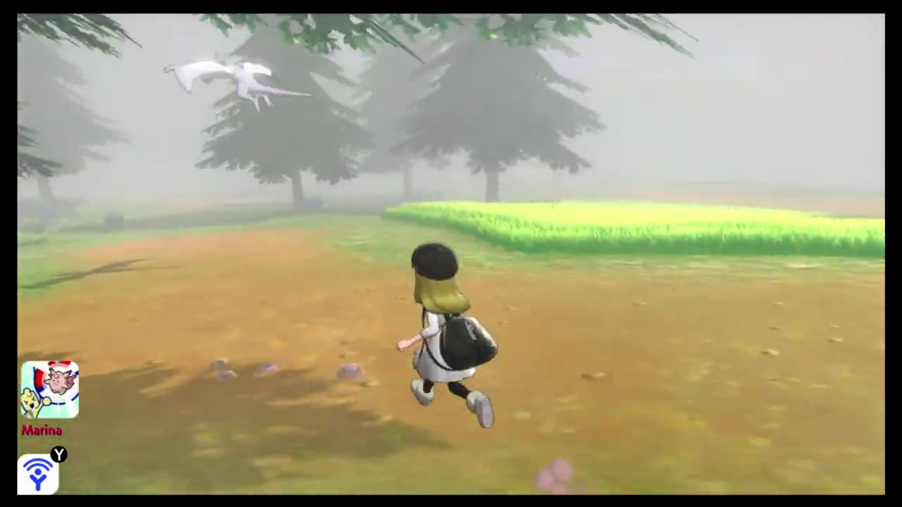 Pokemon Sword Playthrough Part218