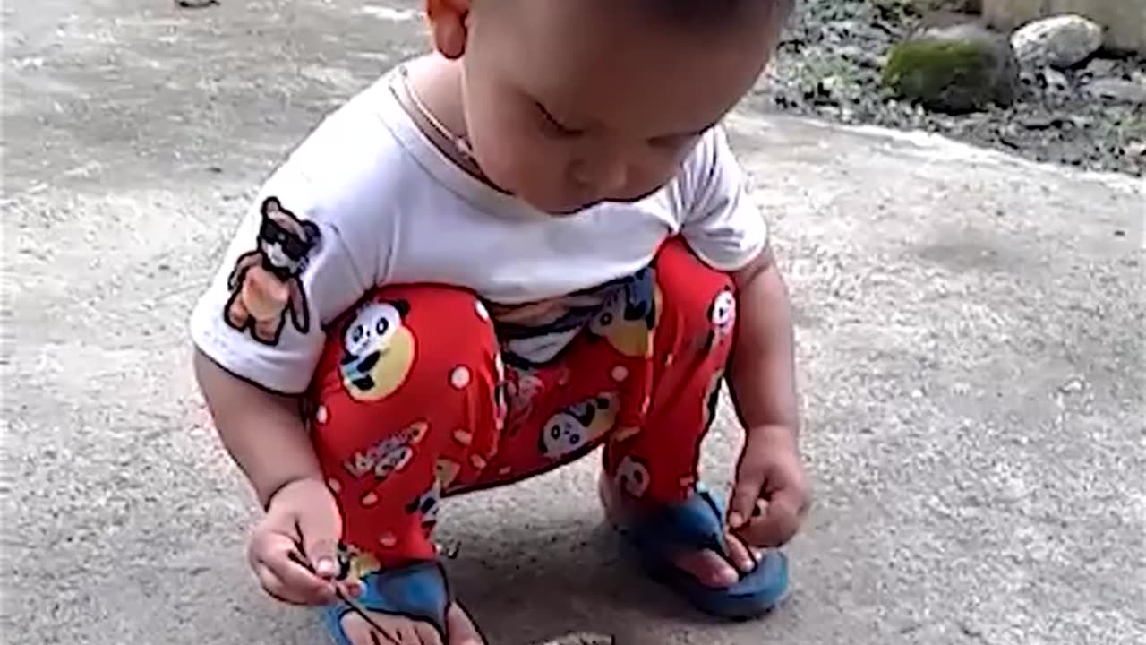 Kind Kid Feeds Abandoned Baby Birds