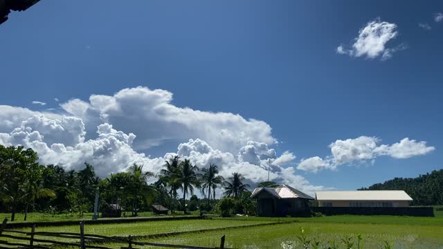 Peaceful Fields