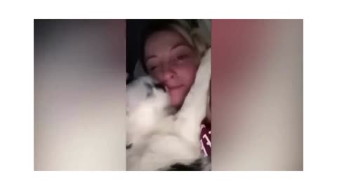 Funniest Cats Videos That Will Make You Laugh 😂 Best Funny Cats Videos Of 2023 😅😹