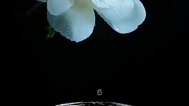• Relaxing Music • Meditation Music • Natural music Nature sounds