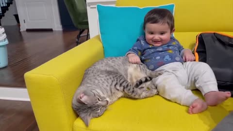 cute baby play with dog & cats