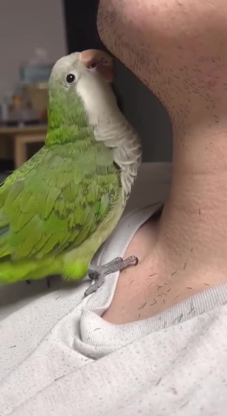 Keep them busy but this is ridiculous 🤣🤣