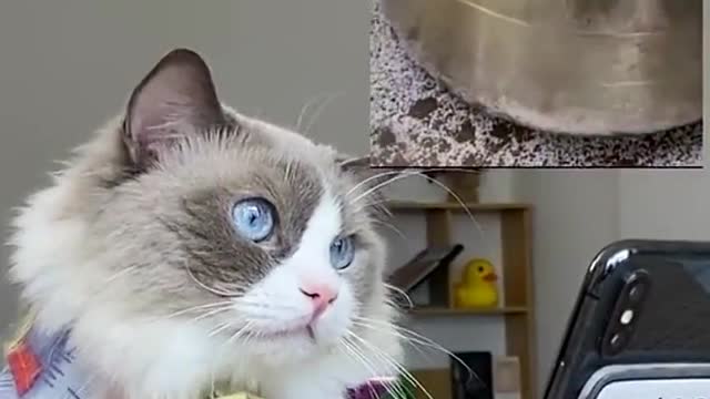 We are all golden 🥳🥳