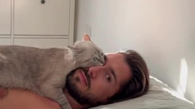 Sleeping Cats: A Cute and Relaxing Compilation