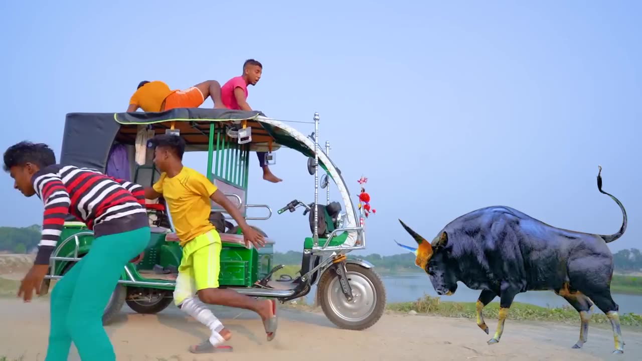 Fun with cow don't miss