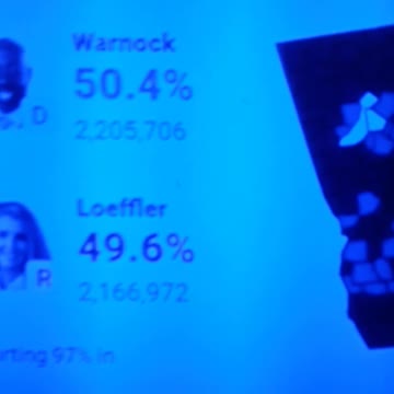 INTERNATIONAL WIDE ELECTION FRAUD VOTING MACHINE CRIME, GEORGIA RUNOFF SHAM ELECTION CRIME 231