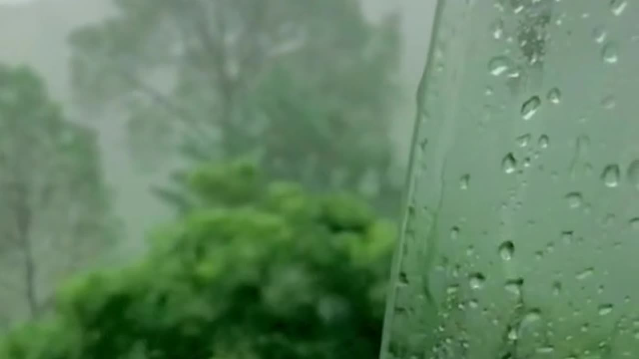 Relaxing nature view