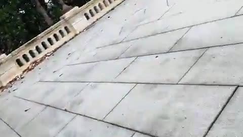 DC officer on J6 saying “we go undercover as Antifa in the crowd”