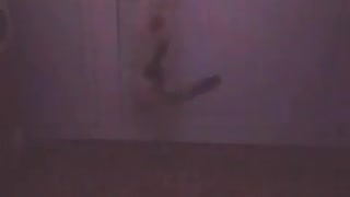 Cat trying to open a door.