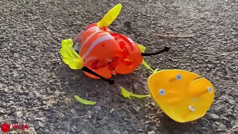 Kids videos