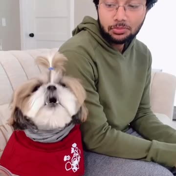 "The Fascinating World of Canine Behavior: Unveiling the Secrets You Need to Watch till the End!"