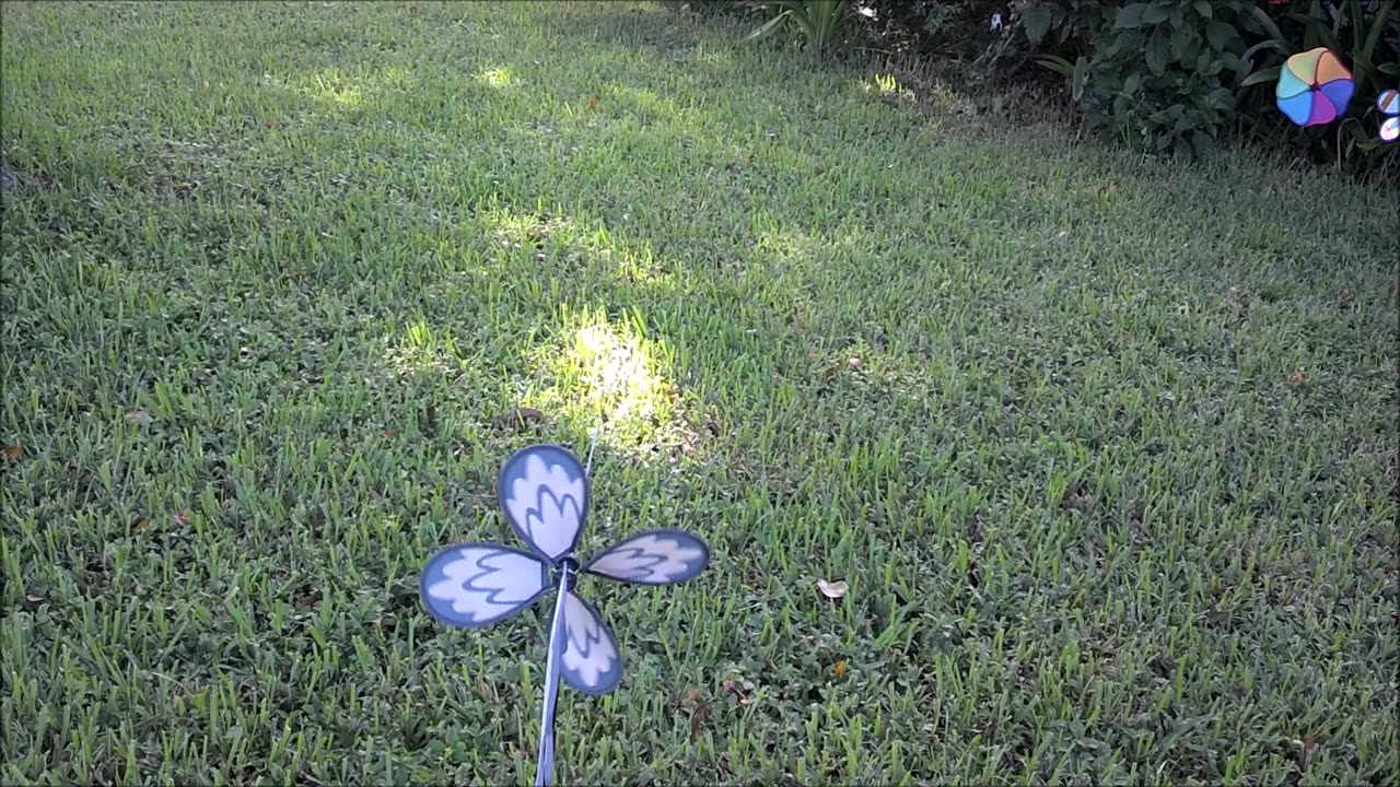 Saharan Dust in South Florida