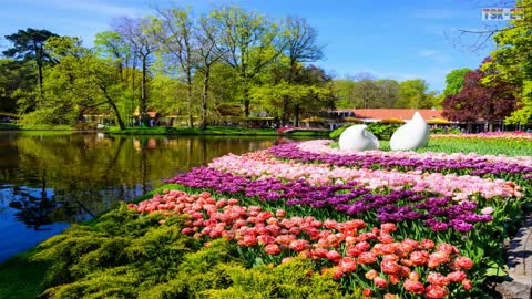 The Most Beautiful Gardens in the World