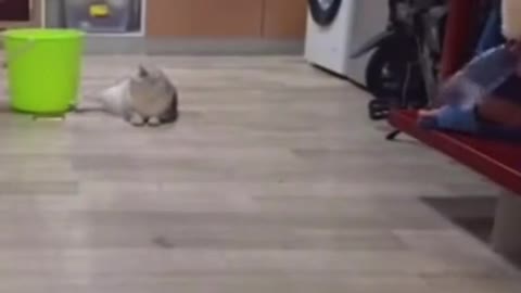 This video is just to funny