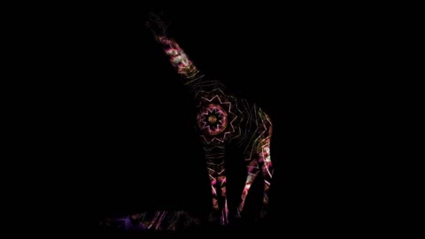 Giraffe Animal Pattern Visuals Loop