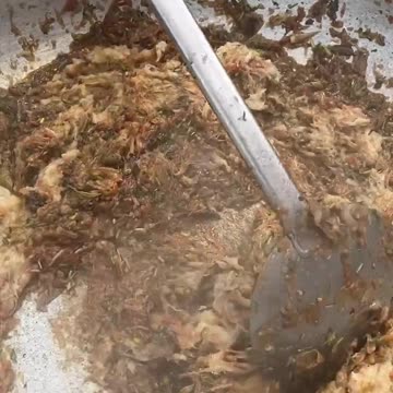 5 Million Celebration - Happiness ❤️ #shorts