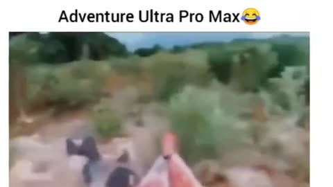 Funny Adventure With crocodile 🐊 🤣🤣