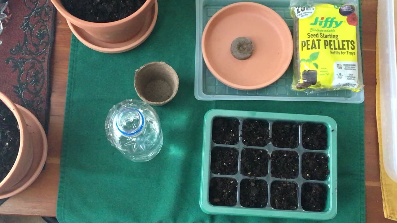 Planting Season 2 Vegetables