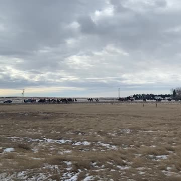 The Cavalry have arrived