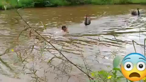 Funny video