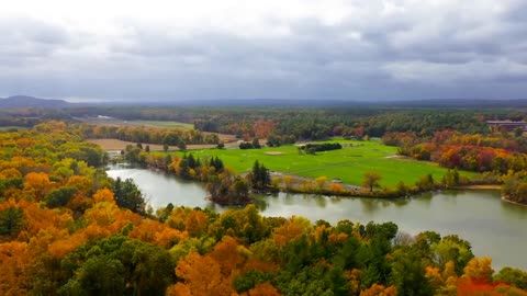 Enchanting Autumn Forests with Beautiful Piano Music