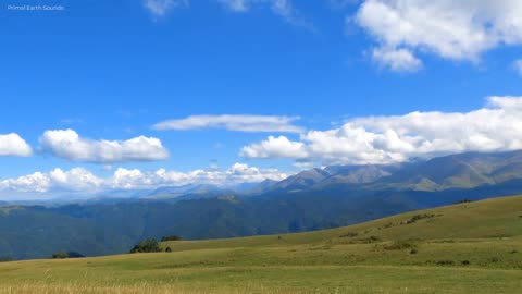 Magnificent % Mountains, % Forests