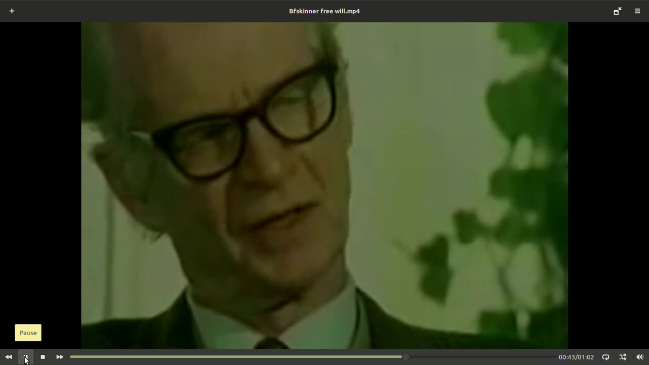 B.F Skinner - The Man That Dog Trainers Blame For Reward And Punishment.