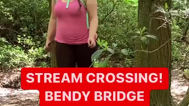 STREAM CROSSING! BENDY BRIDGE