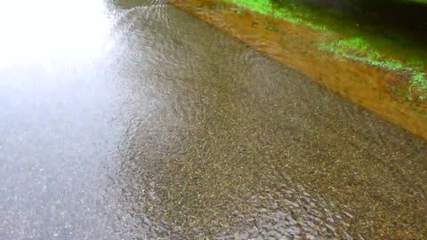 Flooded Road