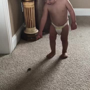 Baby chases frog and catches him