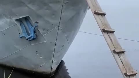 200 IQ Husky Climbs Ladder To Board Boat