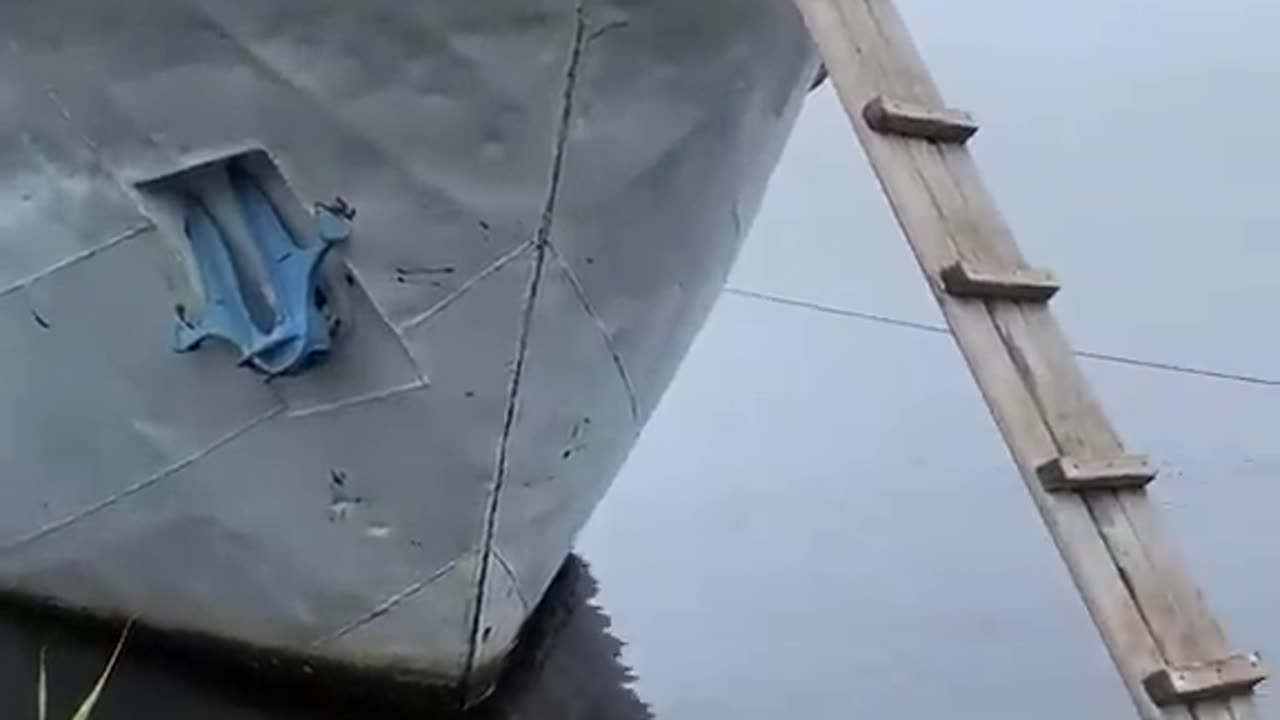 200 IQ Husky Climbs Ladder To Board Boat