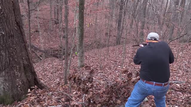 Spencer Carbine Woods Walk