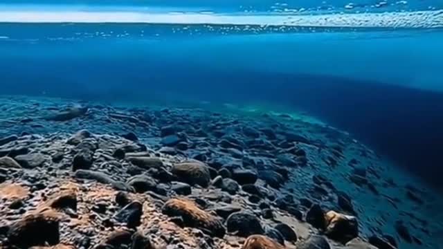 The underwater world is colorful.