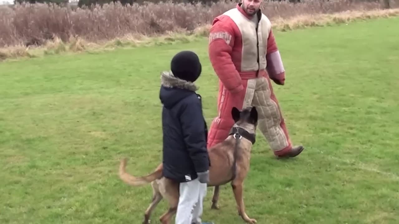 personal _ family protection dog training(1080P_HD)