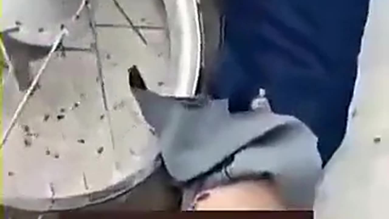 Danger Accident 🤣🤣