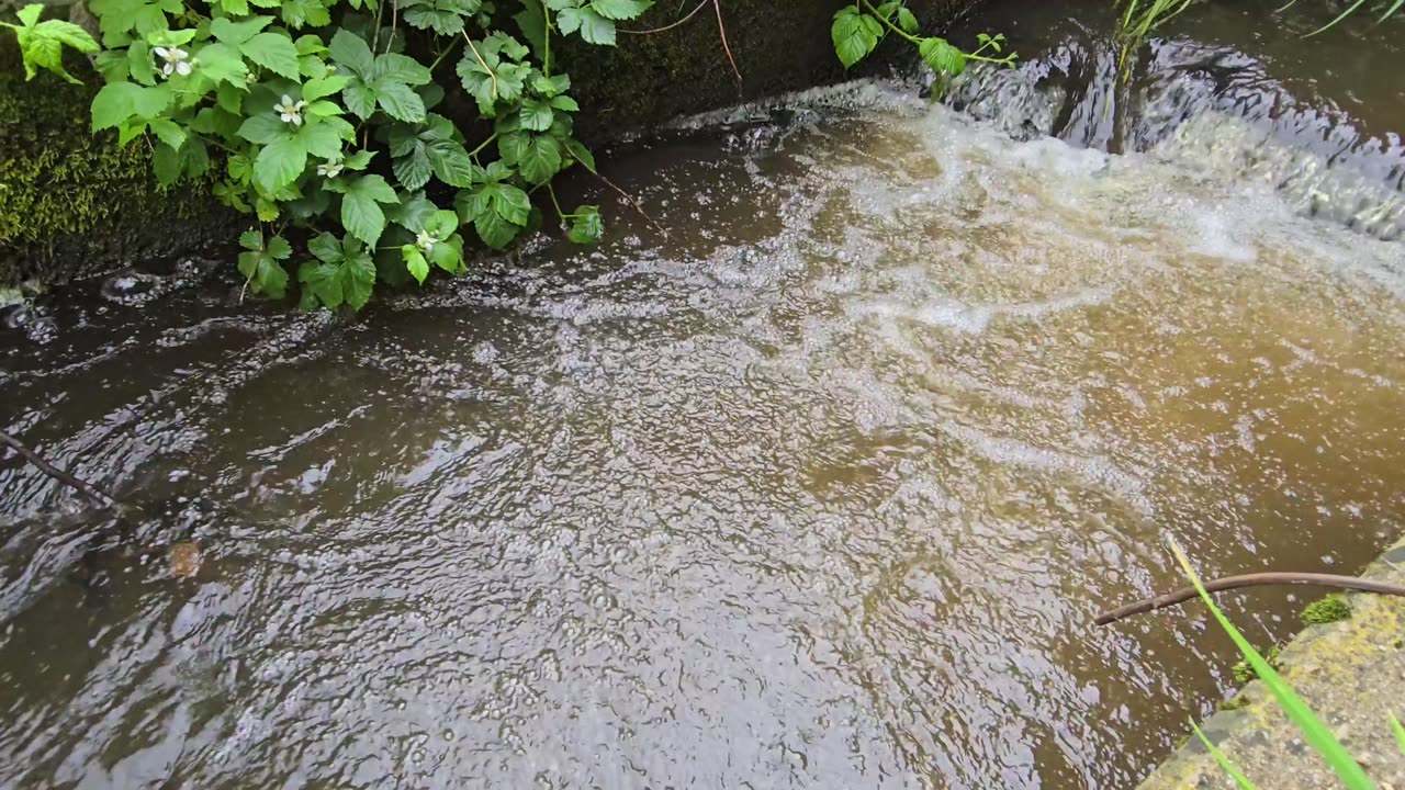 A beautiful fish ladder with a strong current / fish ladder with muddy water.