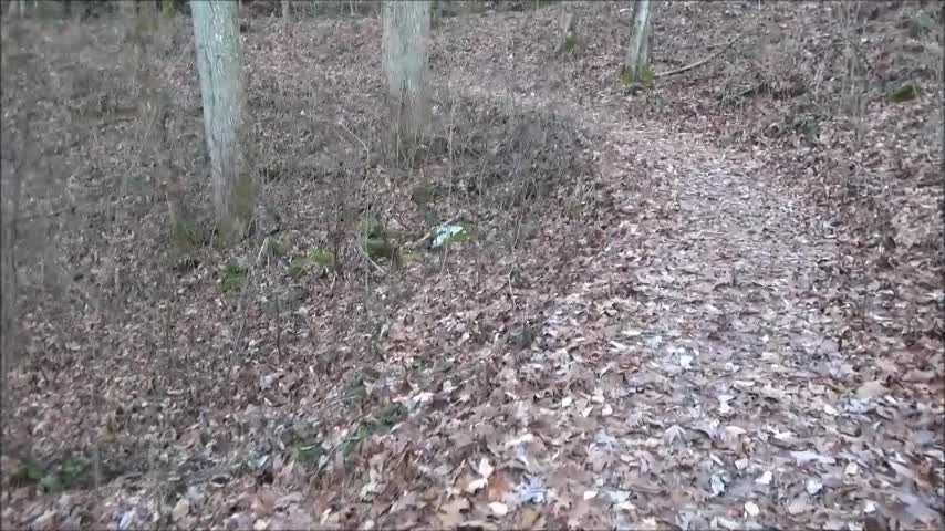 Enjoying Nature & Ranting about The Beast System