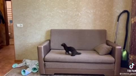 This... some kind of boomerang!