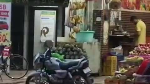 Smart Monkey stealing Banana || Funny animals