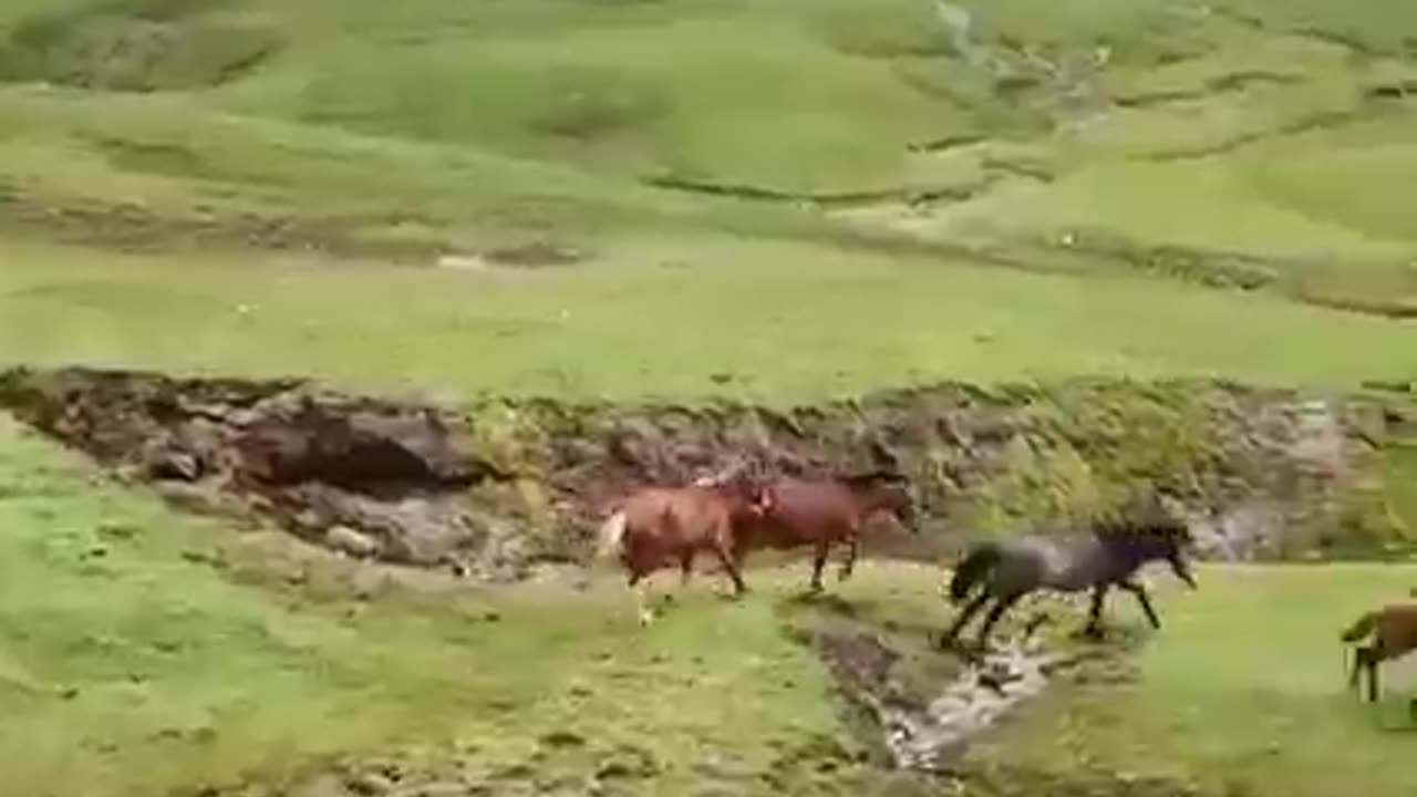 Baboon valley
